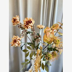 Phytolacca Amber H: 76 cm.