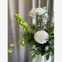 Chrysanthemum Blomst Hvid H: 75 cm.