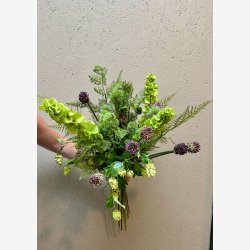 Molucella Blomst Grn H: 78 cm.