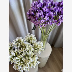 Agapanthus Blomst Hvid H: 70 cm.