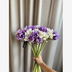 Agapanthus Blomst Hvid H: 70 cm.