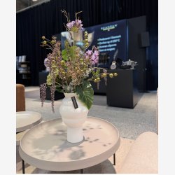 Agapanthus Blomst Lilla H: 70 cm.