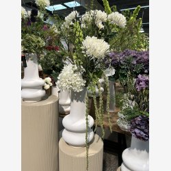 Chrysanthemum Blomst Hvid H: 75 cm.