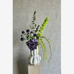 Molucella Blomst Grn H: 78 cm.