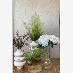 Bregne buket Grn H: 60 cm.