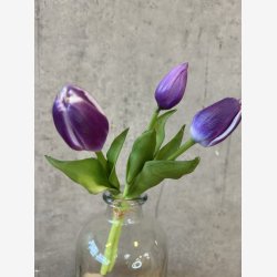 Tulipan Bundt 3 stk. Lilla H:29cm.