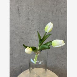 Tulipan Bundt 3 stk. Hvid H:29cm.