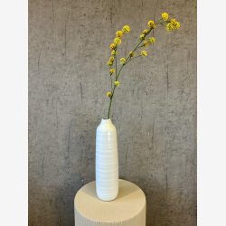 Trifolium Gren Gul H:89cm.