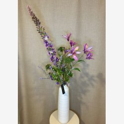 Klematis Pink H:84cm.