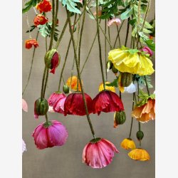 Valmue R�d H:95cm.