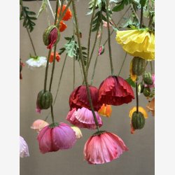 Valmue R�d H:95cm.