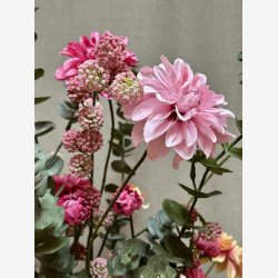 Trifolium Gren Pink H:89cm.