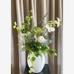 Skrmblomst Hvid H: 50 cm.