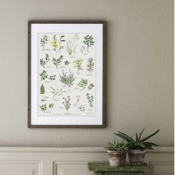 Koustrup &amp; Co - Plakat "Heden" A2 