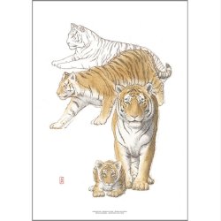 Koustrup &amp; Co - Kunsttryk "Tiger" A3