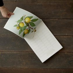 Koustrup &amp; Co - Evighedskalender m/sommerfugle &amp; blomster