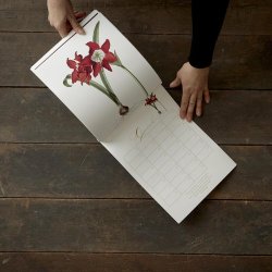 Koustrup &amp; Co - Evighedskalender m/sommerfugle &amp; blomster