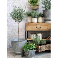 Chic Antique - Anretterbord m/2 skuffer og 2 hylder Naturlig H72xB124xL42cm.