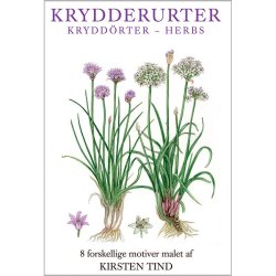 Koustrup&Co. - Kortmappe Krydderurter: 8 kort