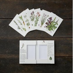 Koustrup&Co. - Kortmappe Krydderurter: 8 kort