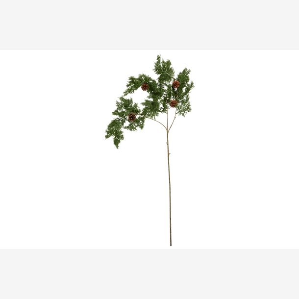 Speedtsberg Thuja gren m/kogler L 95cm. 