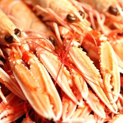 Horneks Odde - Jomfruhummersuppe 500 ml. 