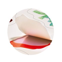 MierEdu - Bog m. silikone klisterm�rker, Dinoland