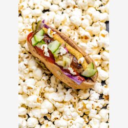 Verdens Bedste Hotdogs Bog