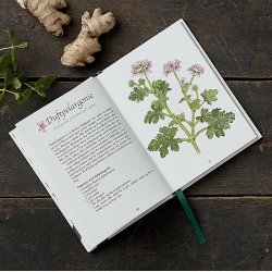 Koustrup&Co. - Bog Mit grnne apotek