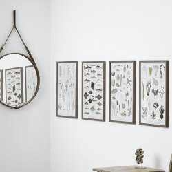 Koustrup &amp; Co - Plakat "Havets Fisk" A2 ( 42x59,4 cm. )