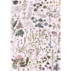 Koustrup&Co. - Puslespil The Flora Danica 1000pcs