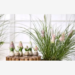 La Vida - Hyacint Keramik H:14cm. Mix (Leveres assorteret)
