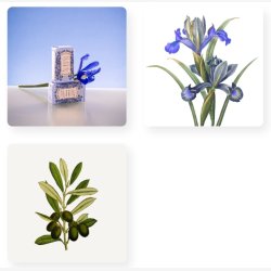 Panier Des Sens - Vegetabilsk Sbe Blooming Iris 150 ml.