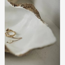 NORDAL - Muslingeskal til dekoration Hvid/Brun Polyresin Dybde:16 L:26 H:7 cm