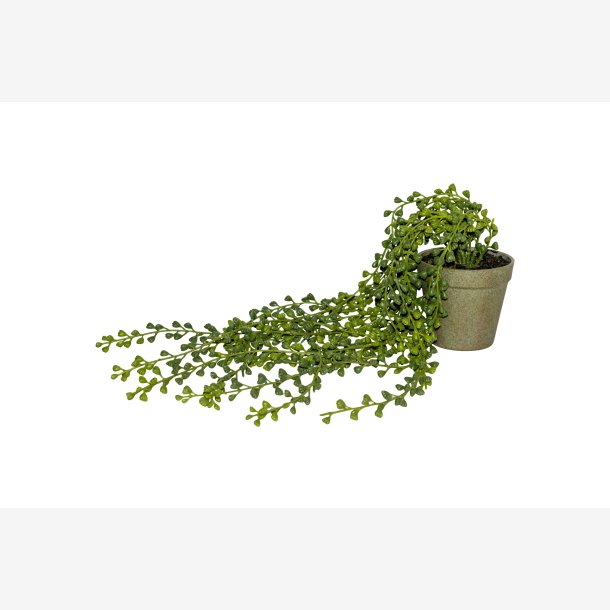 Speedtsberg - kunstig hnge plante i potte L: inkl. potte ca. 65cm.