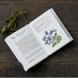 BOG - SPISELIGE VILDE PLANTER 2. UDGAVE