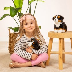 Teddy Hermann - Siddende Berner Sennen