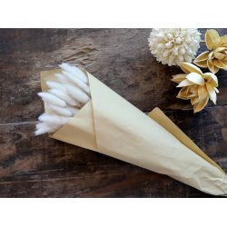 Chic Antique trret Lagurus blomster L 50cm. 