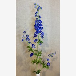 Ridderspore Bl� H:90cm.