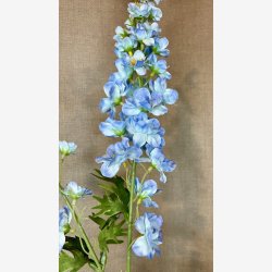 Ridderspore Lysebl� H:90cm.