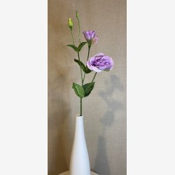 Lisianthus Lilla H:67cm.