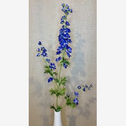 Ridderspore Bl� H:90cm.