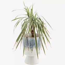 Madam Stoltz keramik urtepotteskjuler hvid/bl