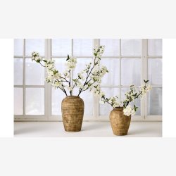 La Vida - Kirseb�rgren L:90cm. Hvid