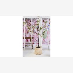 La Vida - Kirseb�rtr� H:120 cm. Pink