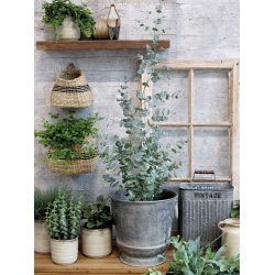 Chic Antique - opbevarings kasse til ophng i zink look