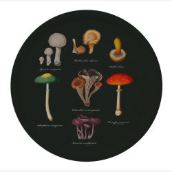 Koustrup &amp; Co - Serveringsbakke Svampe - Sort&�38 cm