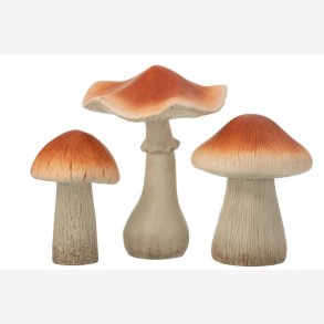 J-Line - Svampe st m/3 stk. H: 50 cm. Bronze/Gr Poly