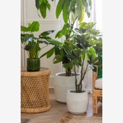 J-Line - Cylinder formet sidebord i flet rattan 50x50x50cm, Natur