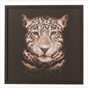 J-Line - Panther billede Brun/Sort 52,5x52,5 cm. 